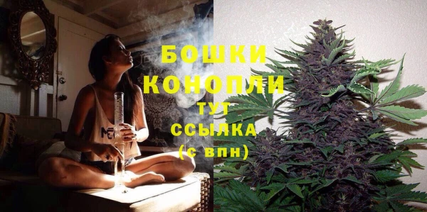мяу мяу мука Костерёво