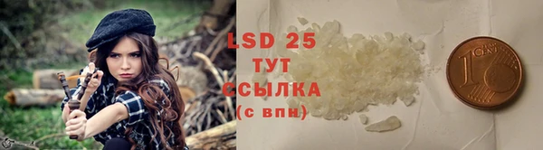 хмурый Корсаков