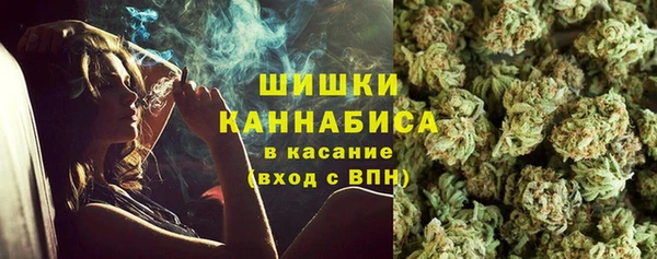 хмурый Корсаков