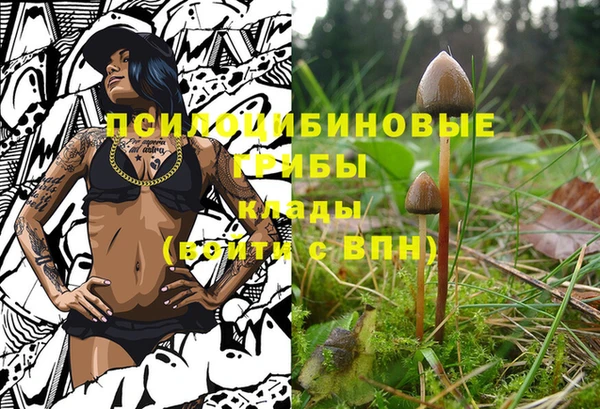 хмурый Корсаков