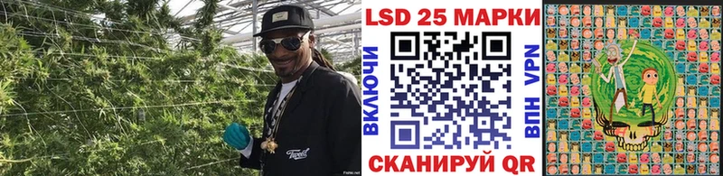 Купить где  Сурск  Марки N-bome 1,8мг 