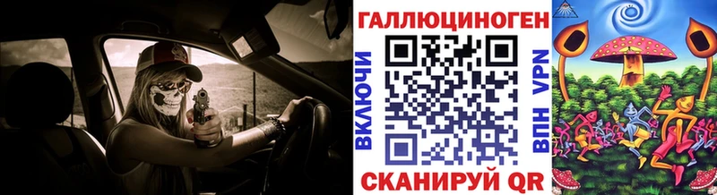 Купить где  Сурск  Псилоцибиновые грибы Psilocybine cubensis 